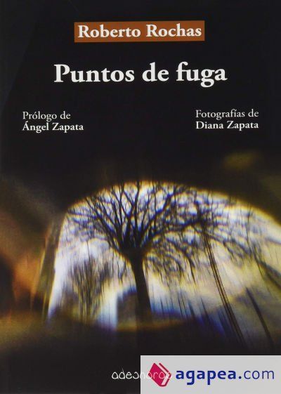 Puntos de fuga
