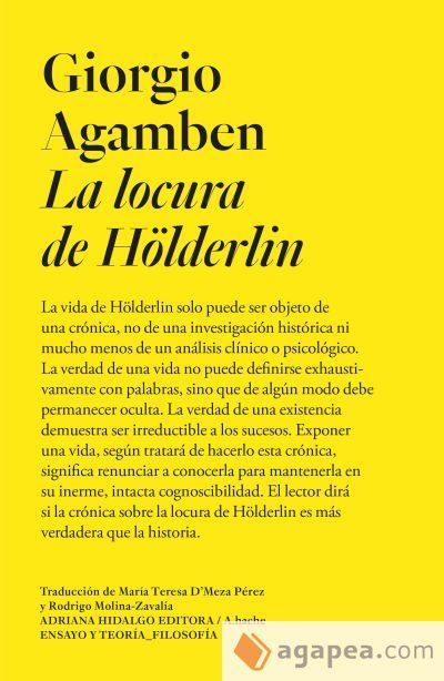 La locura de Hölderlin La locura de Hölderlin