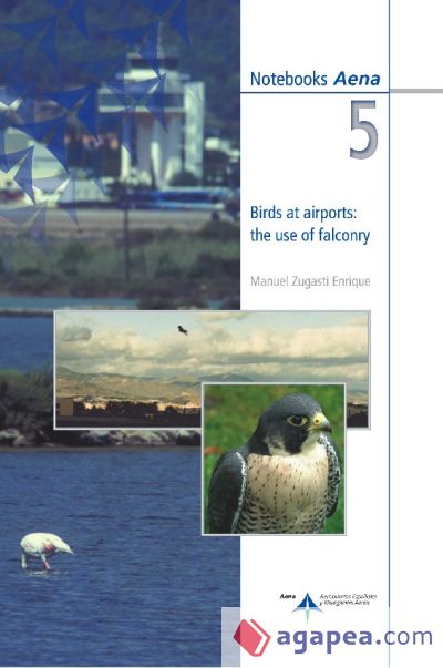 Birds at airports: the use of falconry