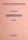 Aeneidos, Liber X