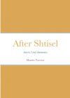 After Shtisel