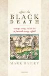 After the Black Death: Economy, Society, and the Law in Fourteenth-Century England