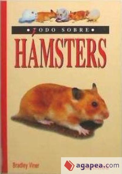 Todo sobre hamsters