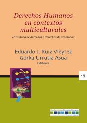 Portada de Derechos humanos en contextos multiculturales