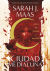 Portada de Casa de tierra y sangre (Ciudad Medialuna 1), de Sarah J. Maas