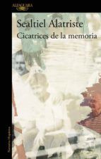 Portada de Cicatrices de la memoria (Ebook)