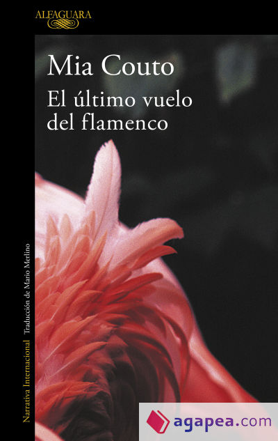 El último vuelo del flamenco