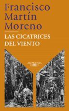 Portada de Las cicatrices del viento (Ebook)