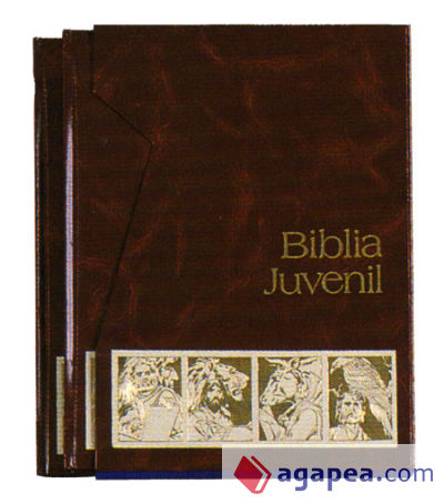 Biblia Juvenil 2 tomos Mod. 5