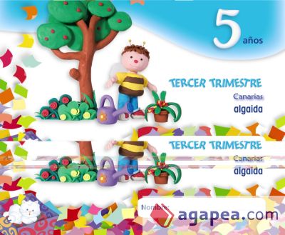 Papelillos 5. 3º trimestre