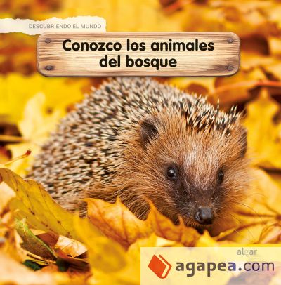 *Aprendo los animales del bosque