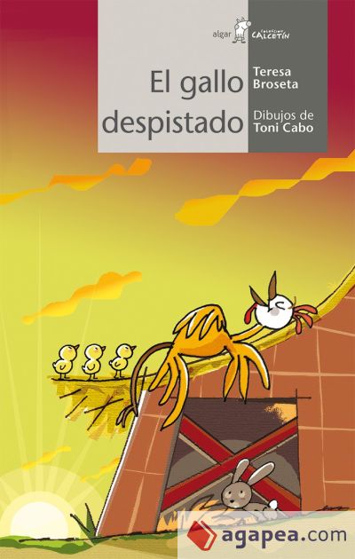 El gallo despistado