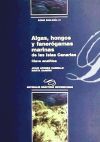 Algas, hongos y fanerógamas marinas de las Islas Canarias : clave analítica