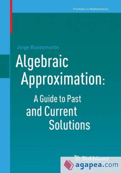 Algebraic Approximation: A Guide to Past and Current Solutions