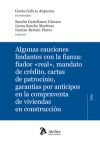 Algunas cauciones lindantes con la fianza: fiador «real», mandato de crédito, cartas de patrocinio garantías por anticipos en la compraventa de viviendas en construcción