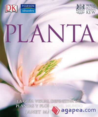 Grandes de alhambra: planta