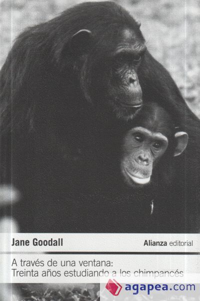 A través de una ventana: Treinta años estudiando a los chimpancés