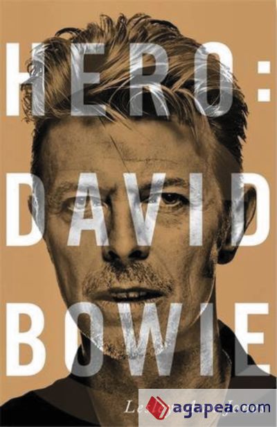 Hero: David Bowie