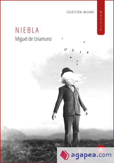 Niebla