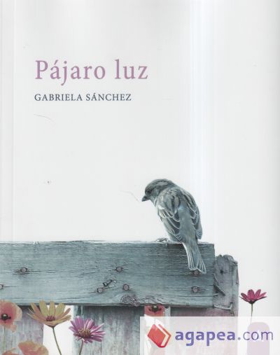 Pájaro luz