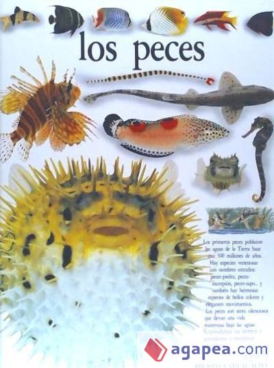 PECES, LOS                            *