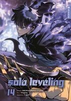 Portada de Solo Leveling 14