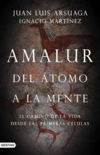 Portada de Amalur (Ebook)