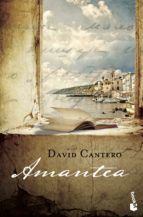 Portada de Amantea (Ebook)