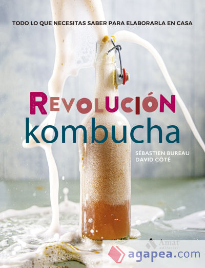 Revolución Kombucha: Todo lo que necesitas saber para elaborarla en casa