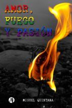 Portada de Amor, fuego y pasión (Ebook)