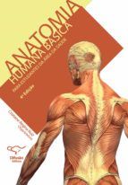 Portada de Anatomia humana básica (Ebook)
