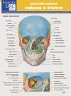 Anatomía humana