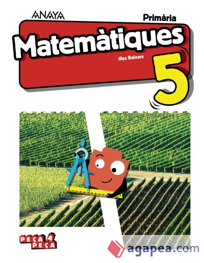 Matemàtiques 5