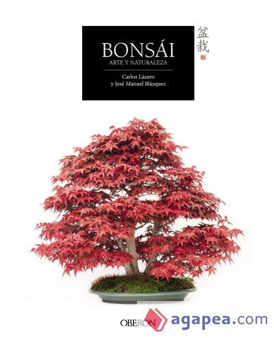 Bonsái : arte y naturaleza