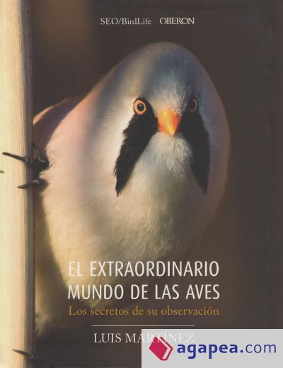 El extraordinario mundo de las aves. Los secretos de su observación