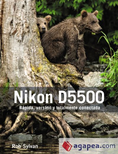 Nikon D5500