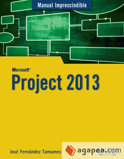 Project 2013