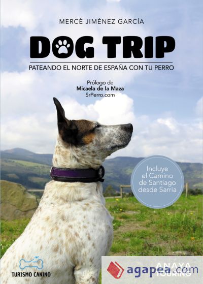Dog trip - Pateando el norte de España con tu perro