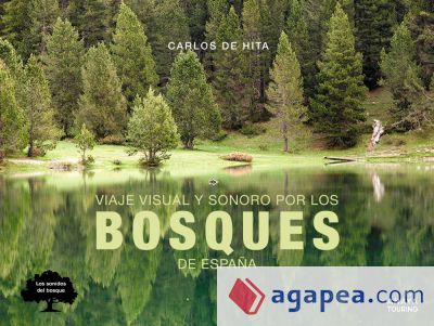 Viaje visual y sonoro por los bosques de España