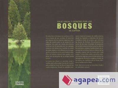 Viaje visual y sonoro por los bosques de España