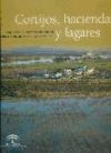 Cortijos, Haciendas Y Lagares: Provincia De Sevilla: Arquitectura De Las Grandes Explotaciones Agrarias En Andalucía