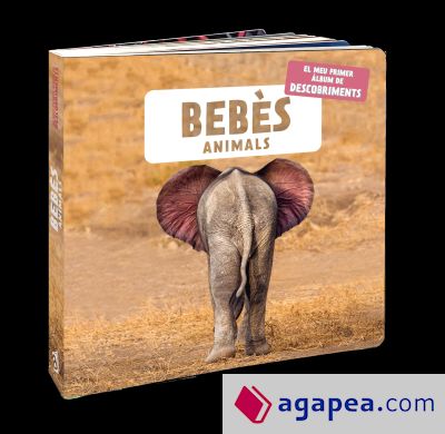 Bebès animals