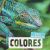 Portada de Colores, de Naturagency