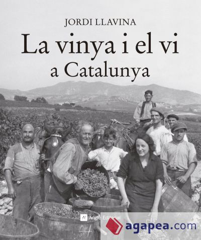 La vinya i el vi a Catalunya