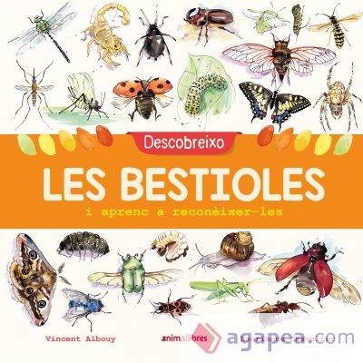 Descobreixo les bestioles i aprenc a reconèixer-les