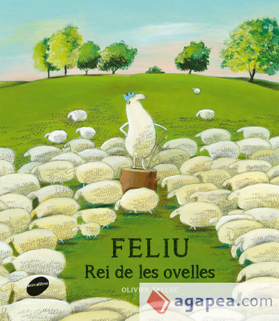 Feliu, rei de les ovelles