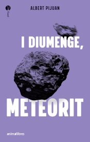 Portada de I diumenge, meteorit