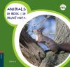 Animals de bosc i de muntanya