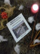 Portada de Prinzessin (N)Immerlieb - Mittwinter (Ebook)