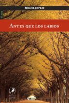 Portada de Antes que los labios (Ebook)